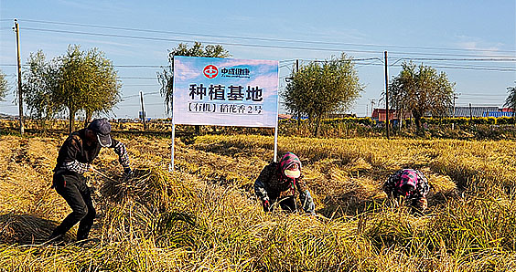 插图-生产基地.jpg